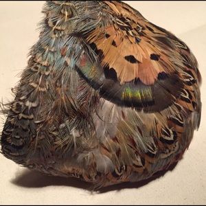 Vintage looking feather hair fascination, hairband